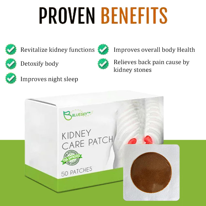 BLUESKY Multi-Functional Kidney Care Patch